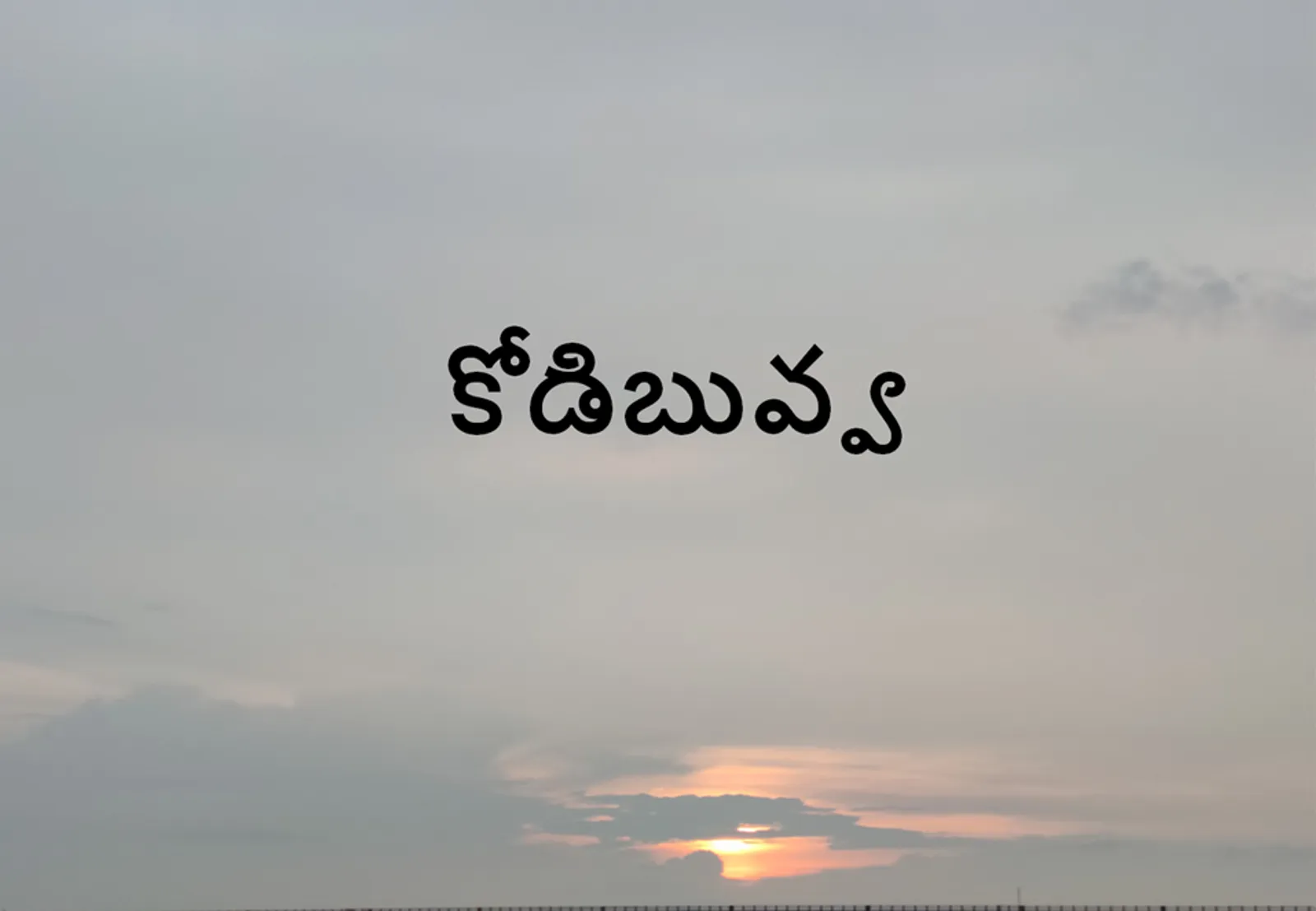 కోడి బువ్వ